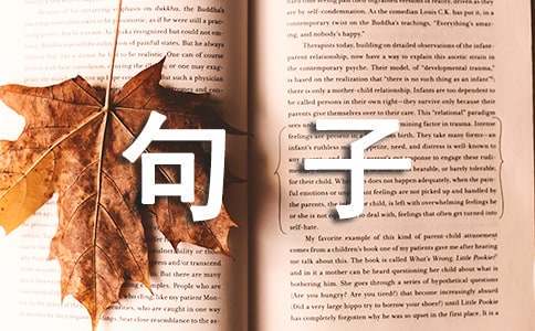 如何通过篮球训练中的反馈提高技能水平_1
